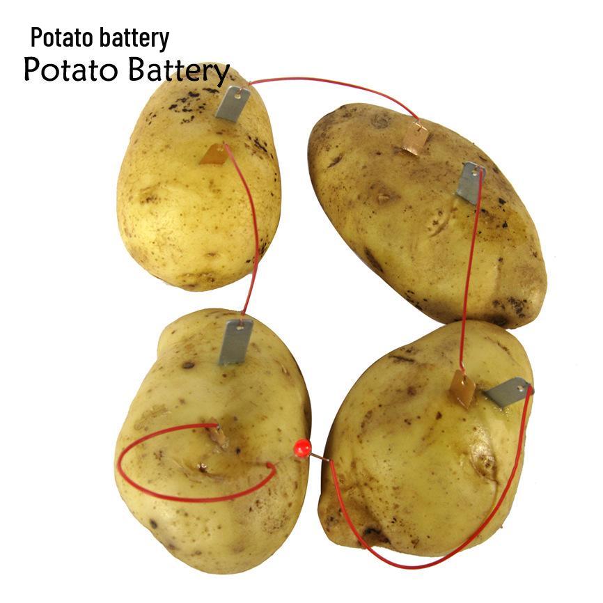 Fruit Power Science Kit: Potato and Cola Power Generation Experiment