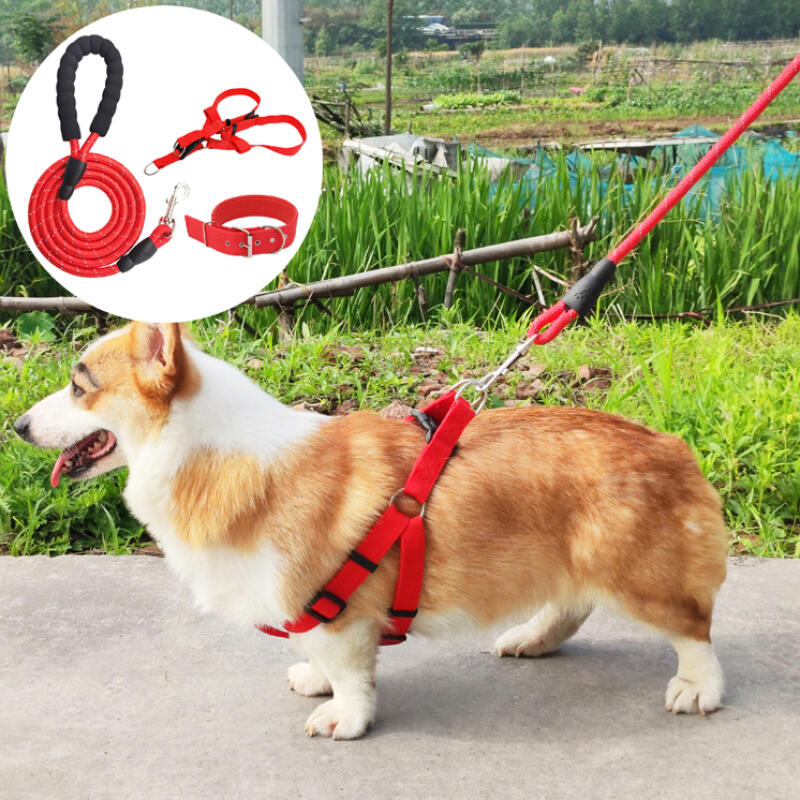 Dog Harness, Leash, Necklace, and Leash Set of 3