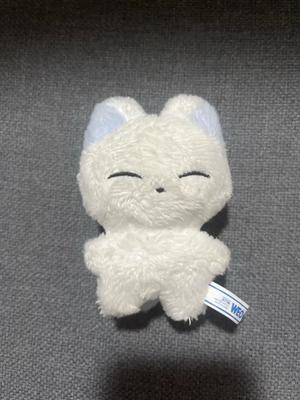 ENHYPEN Mint Toonu Transfer Sangwoo Doll Pichineun Tomb Used