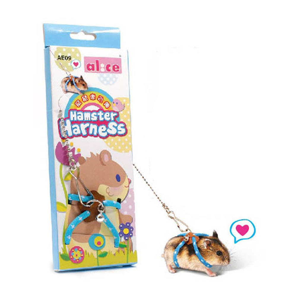 Terres d’aventure populaire Hamster gerbille Cage pour