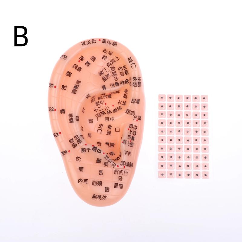 Pvc Material Ear Massage Model Reflex Area Acupoint Teaching Auricle Therapy Tool Ear Acupuncture Model Medical Supplies Health