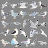50 Seagull Doodle Stickers Personalized Cartoon Animal Bird Decorative Mobile Phone Case Suitcase Water Cup Stickers