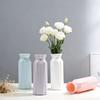 Modern Minimalist Colored Plastic Vase for Home and Dining Table Decor with Dried Flowers