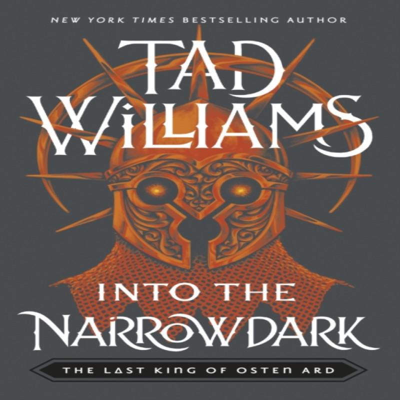Into the Narrowdark by Tad Williams Paperback Book 9781399706636
