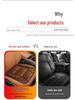 Winter Plush Car Seat Cushion Set: Thickened Warm Three-Piece Short Plush for Rear Row