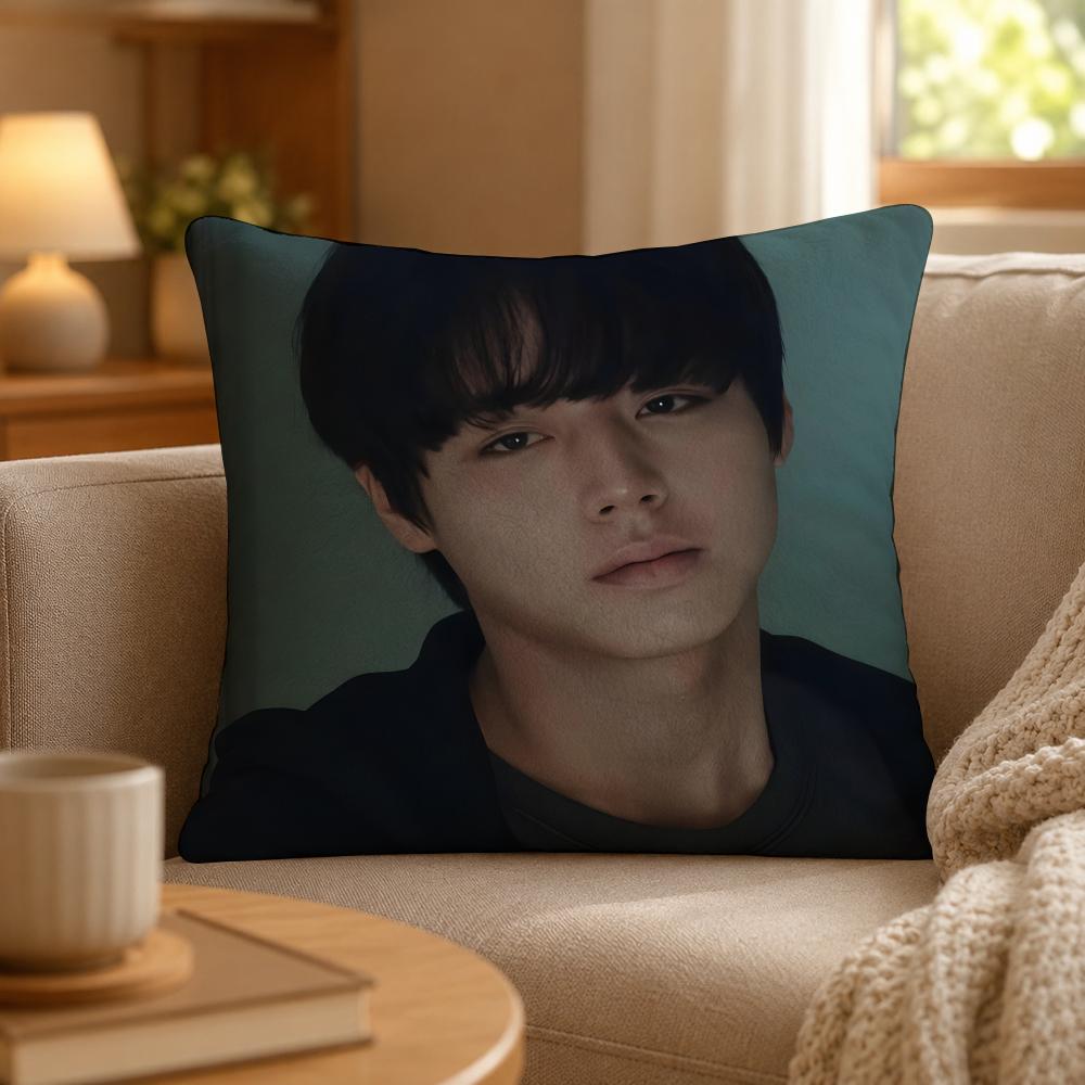 Series Weak Hero Class One Cushion Cover Personalized Short Plush Cushion Cover Sofa Pillowcase Bedroom Home Decor Gift