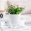 Self Watering Plant Pot Plastic Flower Pot with Water Reservoir Wick Ropes Modern Indoor Planter for Home Office Desktop