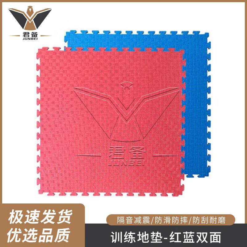 Interlocking Taekwondo & Gym Training Mat
