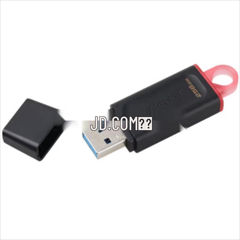 Kingston 256GB USB 3.2 Flash Drive