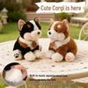 Realistic Corgi Plush Toy Puppy Doll Gift for Kids