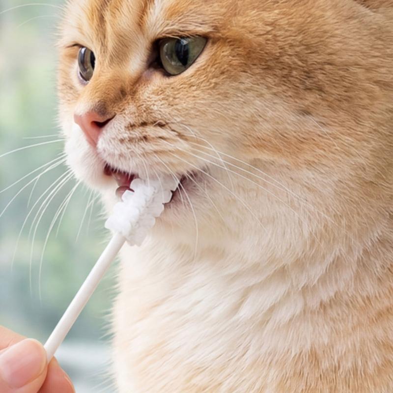 Pet Chew Toothbrush for Kittens and Puppies, Soft Gauze Texture Wipes Food Particles During Routine Dental Care
