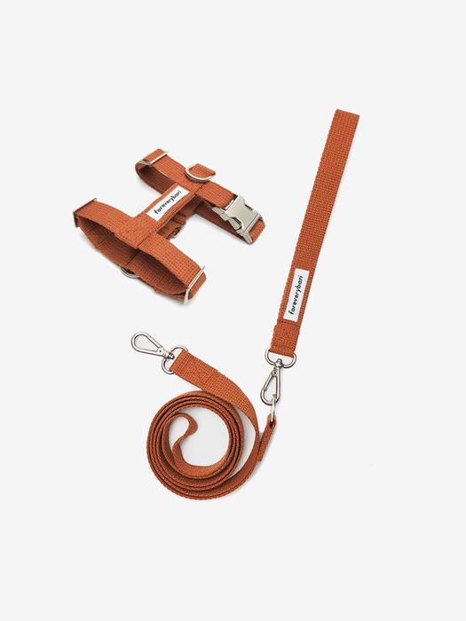 комплект шлеек foreverybari (верблюд) Big Friend