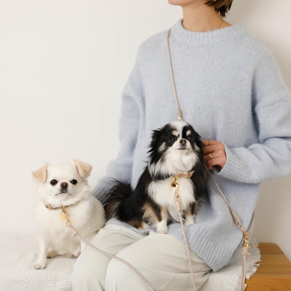 Monchéri [Mixed Color Reflective Reinforced Lead] Dog Lead for Small Dogs (Medium/Mocha) with Reflective Thread for Multiple Dogs, Walks, and Outings