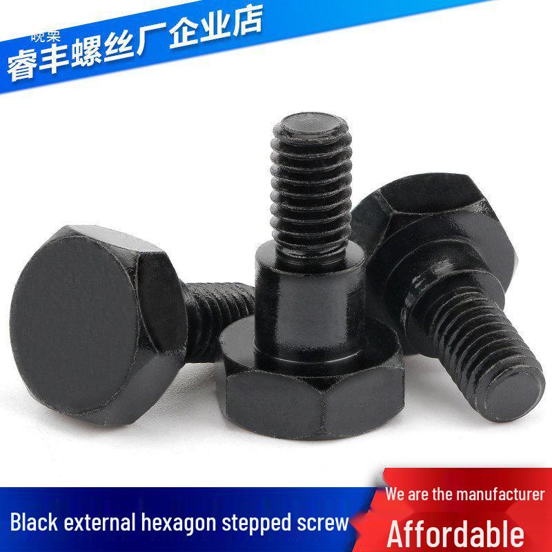 Black M5/M6 Hex Socket Head Cap Screw with Equal Height Shoulder