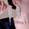 Elegant Tassel Long Earrings: European & American Fashion, High-End Prom & Evening Goddess Style.