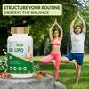 Jeena Sikho Organics Dr. Lipo Tablets | For Heart Health & Circulation | For Healthy Cholesterol | With Garlic, Guggal, Ajwain, Arjun Bark, Olive