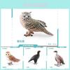 Realistisches PVC-Tiertiermodell-Set mit Eule, Adler, Geier, Affengesicht, Eule für die Ausstellung