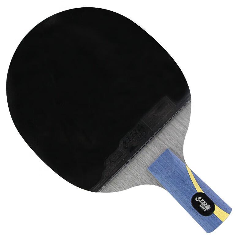 DHS Hurricane Hao Table Tennis Racket