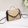 New Straw Woven Simple Women's Bag Fashion Shoulder Bag Niche Women's Messenger Bag One Piece