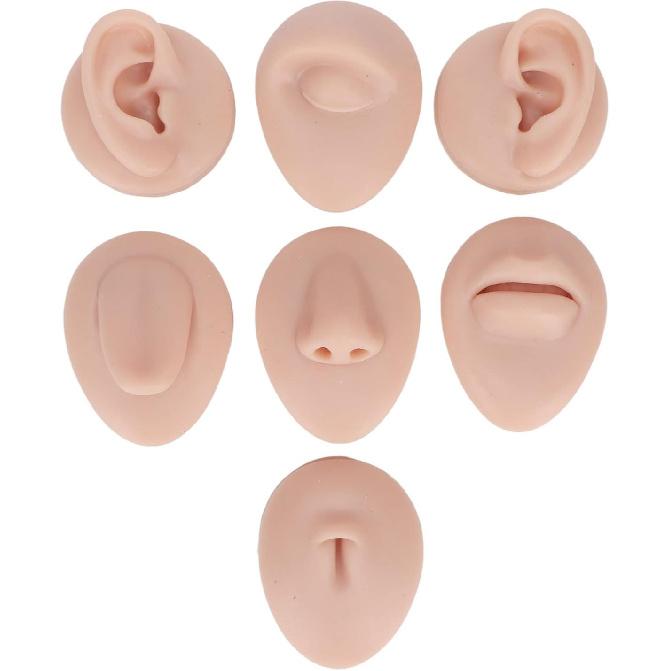 Soft Silicone Flexible Model Body Part Displays Set, Silicone Tongue Mouth Navel Ear Model for Piercing Practice and Jewelry Display Acupuncture