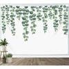 Tapestry of Green Eucalyptus Leaves