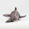 TST Advanced Exciting Illustrated Guide: Sinonomegatarifish 10142, Total Length Approximately 15cm