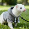 Set Pettorina e Guinzaglio per Furetto Cappotto Caldo Invernale e Set Pettorina e Guinzaglio a Prova di Fuga Regolabile per Viaggi all'Aperto dell'Animale Domestico