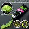 70g Bicycle Grease Green Applesause Bearing Grease Hub BB Lubricants Oil Lubricant Lube Lipid Elements For Bike Sram