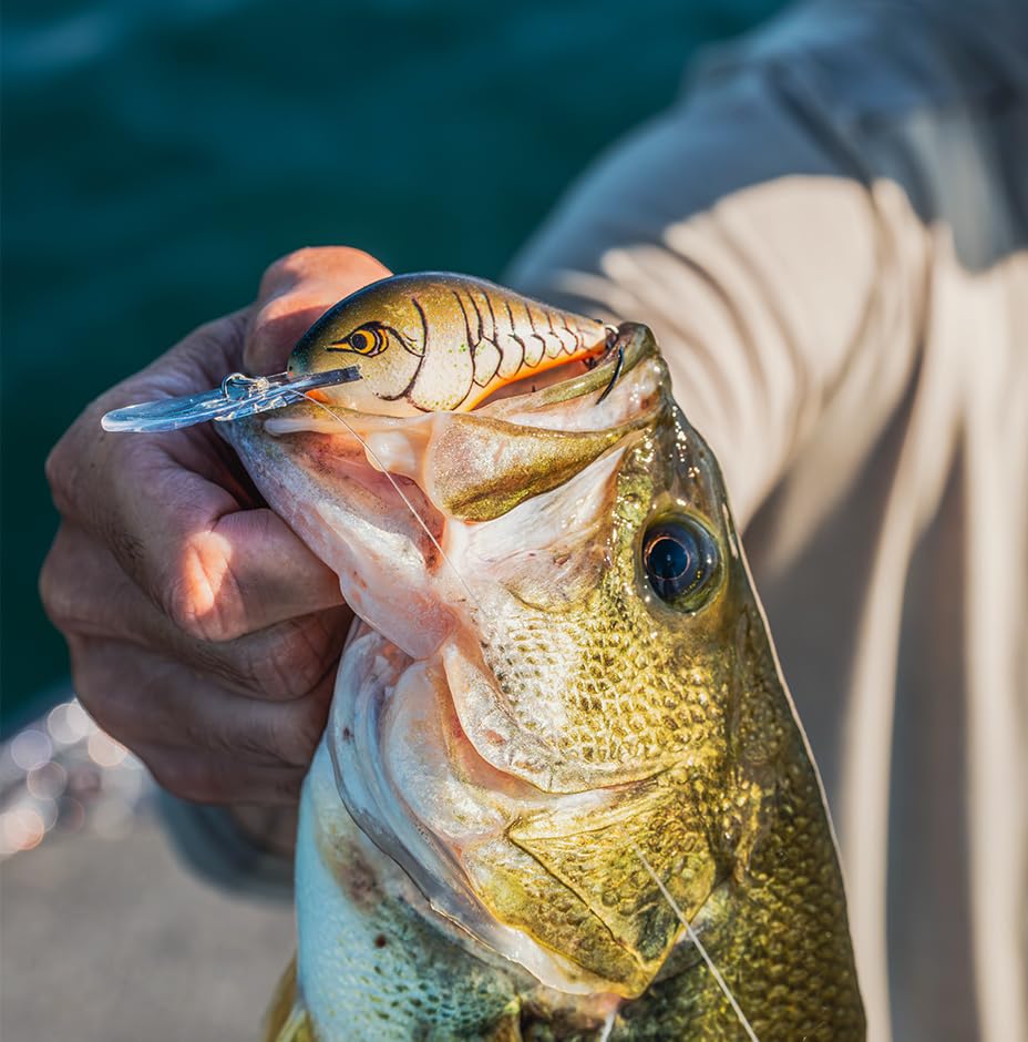 Rapala Dive Tow PRT Parrot DT12 6cm/17g