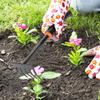 Household And Outdoor Beachcombing Shovel, Soil Rake, Flower Shovel, Small Hoe, Vegetable Planting, Weeding, Gardening Tools