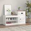 Vidaxl Shoe Cabinet, White, 100X42X60 Cm, Wood-Based Material