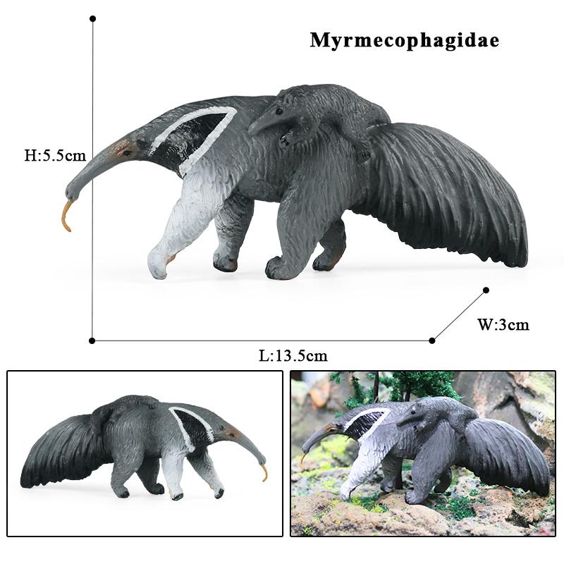 Oenux Wild Animals Simulation AArdvark Anteater Armadillo Pangolin Ant Natural Enemy Figurines PVC Model Collection Kid Toy Gift