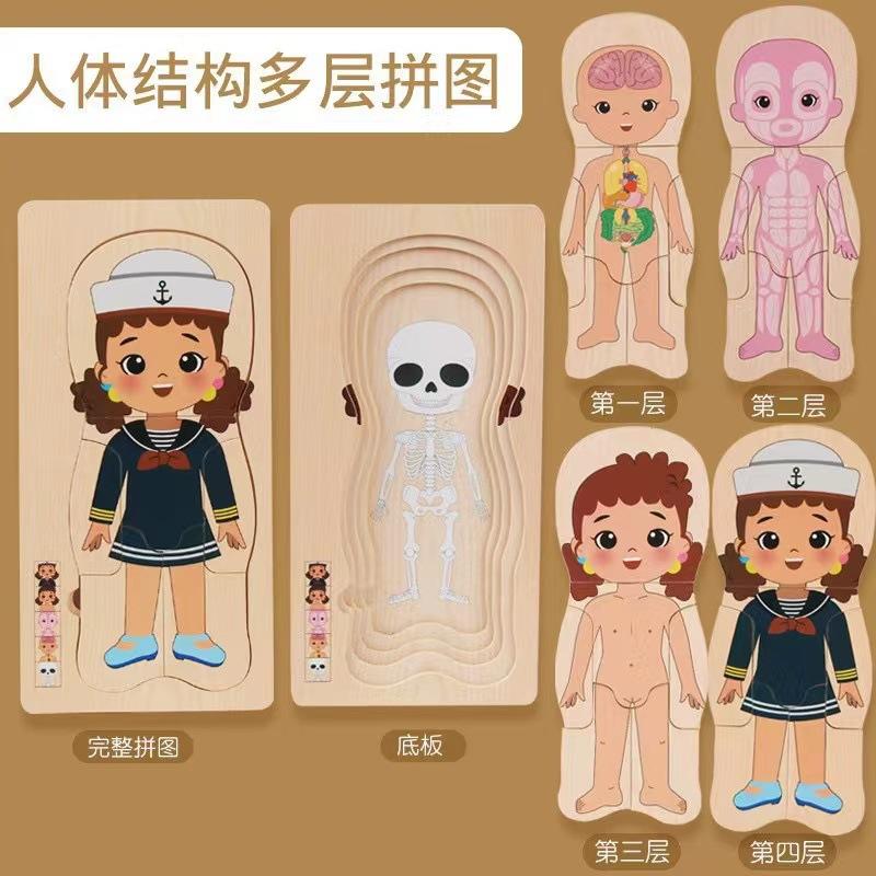 Children's Early Education Characters Body Organ Structure Cognitive Puzzle Brain Multi-Layer Development Wooden Toys