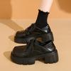 Fashion Spring New Thick Heel Shoes Women's Fashion Round Head Deep Mouth Front Lacing Platform Non-slip High Heels
