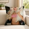 Person AAddison RRae funny Cushion Cover Soft Short Plush SkinFriendly Cushion Case for MultiScene Use
