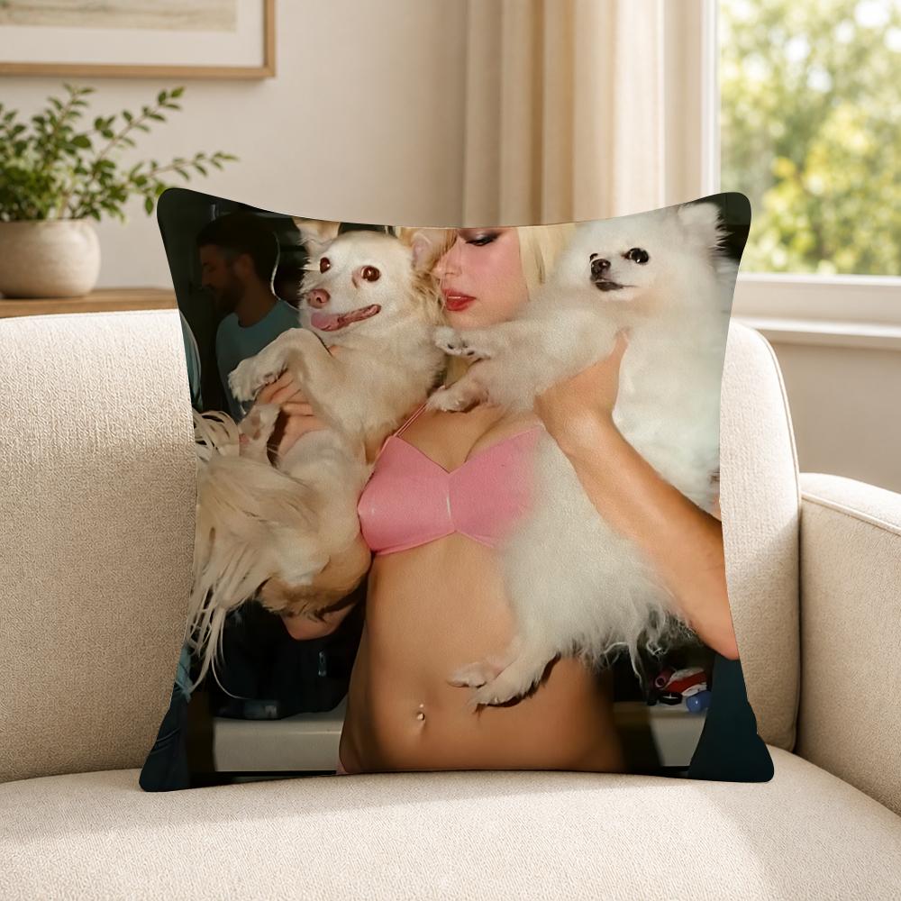 Person AAddison RRae funny Cushion Cover Soft Short Plush SkinFriendly Cushion Case for MultiScene Use
