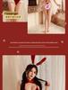 Alluring Bunny Girl Lingerie Set - Small Bust Temptation for Christmas