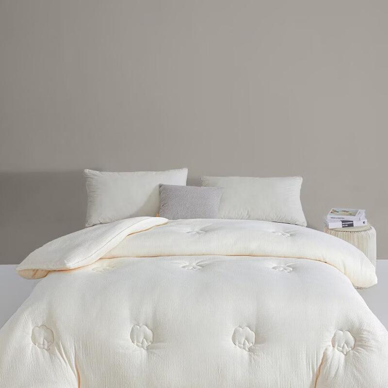 mling Thickened Winter & Autumn Quilt