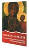 Novena To Mary of Jasna Góra, Queen of the Nation...