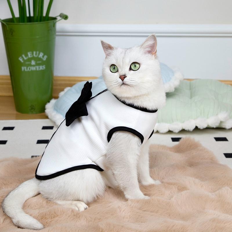 Pet Dog Cat Gowns Couples Costumes Pet Wedding Clothes