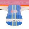 DOUBLE FISH 236A Table Tennis Racket Set (2-Pack)
