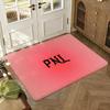 P-PNL Floor Mat Soft Thickened Absorbent Non-Slip Bedroom Living Room Door Mat Home Decor Flannel Rugs