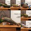 3d Esox Piranha Trout Fish Plush Toy Stuffed Doll Cartoon Decoration Gift Kids