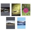 OkOffice Notebook with Margin A5 Line 96 Sheets MIX 1 Piece