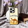 C-Cigarette-B-Brand C-Camel Phone Case For iPhone17,16,15,14,13,12,11 Plus,Pro Max Black Candy silver phone case