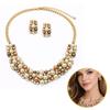 Elegant Jewelry Set with Pearls and Crystals - Necklace + Earrings N1070Br