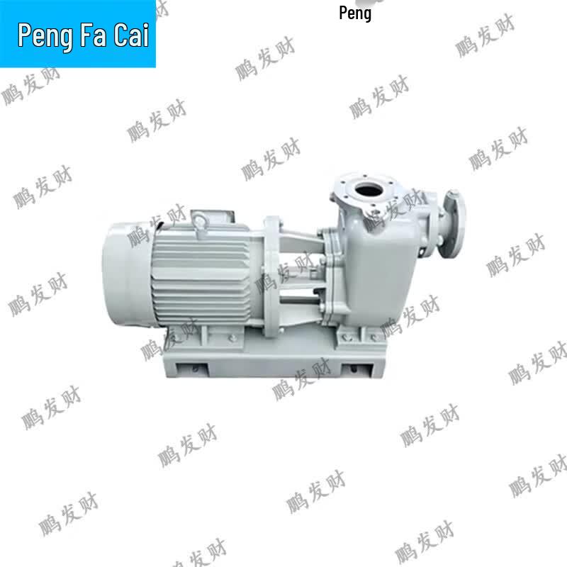 Pengfacai Marine Sewage Grinder and Processor Pump