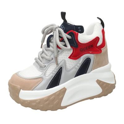 Fashion Women Casual Leather Sneaker Autumn Lace Up 10CM High Platform Shoes Thick Sole Sport Dad Shoes Woman Sneakers Chaussure Femme