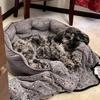 Pet Couch Cave Warmth Indoor Dog Sleeping Nest Waterproof Pet Resting Couch For Small Medium Large Small Animals Kitten Puppy