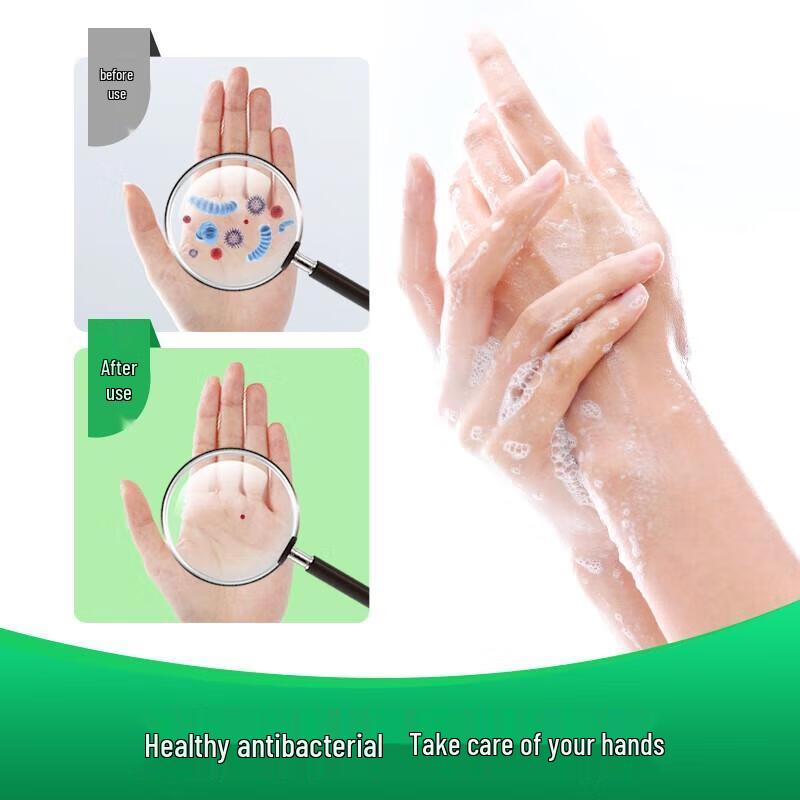 Dettol Hand Wash Twin Pack (Moisturizing & Pine)